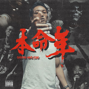 日本一区二区的视频
