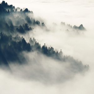 日本一区二区的视频
